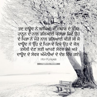Picture 07 - 2 ਸਮੂਏਲ 10:2 PANIRV - ਤਦ ਦਾਊਦ ਨੇ ਆਖਿਆ, - Bible Verse Picture