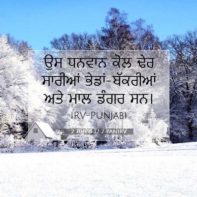 Picture 07 - 2 ਸਮੂਏਲ 12:2 PANIRV - ਉਸ ਧਨਵਾਨ ਕੋਲ ਢੇਰ - Bible Verse Picture