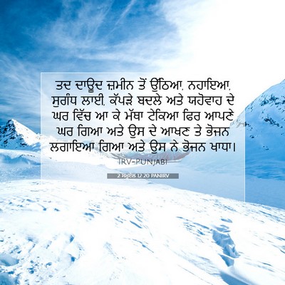 Picture 07 - 2 ਸਮੂਏਲ 12:20 PANIRV - ਤਦ ਦਾਊਦ ਜ਼ਮੀਨ ਤੋਂ - Bible Verse Picture