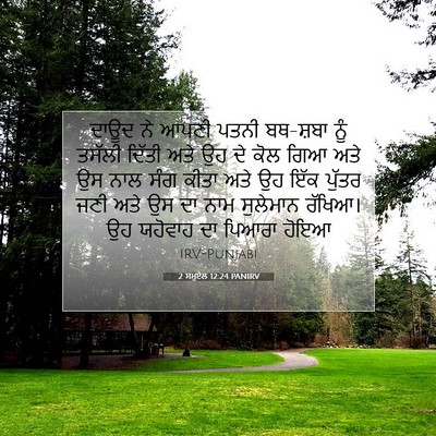 Picture 07 - 2 ਸਮੂਏਲ 12:24 PANIRV - ਦਾਊਦ ਨੇ ਆਪਣੀ ਪਤਨੀ - Bible Verse Picture