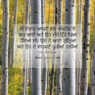 Picture 07 - 2 ਸਮੂਏਲ 13:8 PANIRV - ਸੋ ਤਾਮਾਰ ਆਪਣੇ ਭਰਾ - Bible Verse Picture
