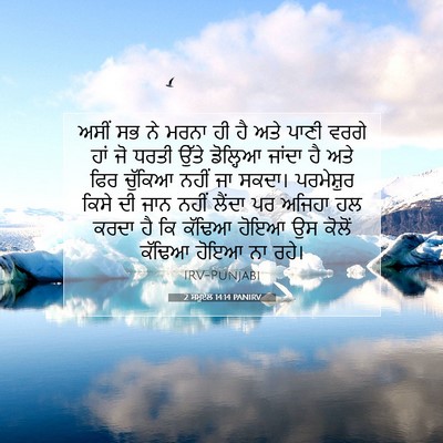 Picture 07 - 2 ਸਮੂਏਲ 14:14 PANIRV - ਅਸੀਂ ਸਭ ਨੇ ਮਰਨਾ ਹੀ - Bible Verse Picture