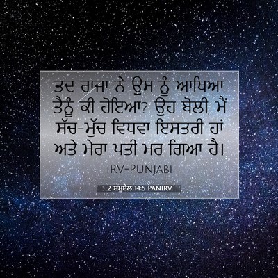 Picture 07 - 2 ਸਮੂਏਲ 14:5 PANIRV - ਤਦ ਰਾਜਾ ਨੇ ਉਸ ਨੂੰ - Bible Verse Picture