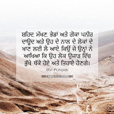 Picture 07 - 2 ਸਮੂਏਲ 17:29 PANIRV - ਸ਼ਹਿਦ, ਮੱਖਣ, ਭੇਡਾਂ - Bible Verse Picture
