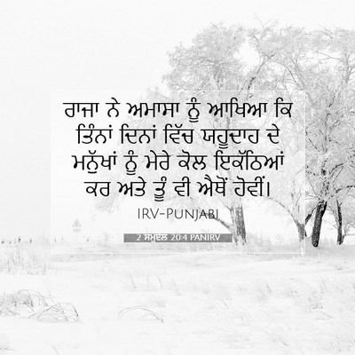 Picture 07 - 2 ਸਮੂਏਲ 20:4 PANIRV - ਰਾਜਾ ਨੇ ਅਮਾਸਾ ਨੂੰ - Bible Verse Picture