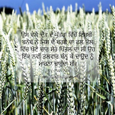 Picture 07 - 2 ਸਮੂਏਲ 21:16 PANIRV - ਉਸ ਵੇਲੇ ਦੈਂਤ ਦੇ - Bible Verse Picture