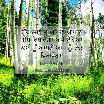 Picture 07 - 2 ਸਮੂਏਲ 22:27 PANIRV - ਸ਼ੁੱਧ ਲਈ ਤੂੰ ਆਪਣੇ - Bible Verse Picture