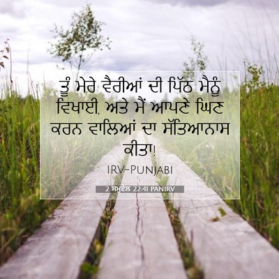 Picture 07 - 2 ਸਮੂਏਲ 22:41 PANIRV - ਤੂੰ ਮੇਰੇ ਵੈਰੀਆਂ ਦੀ - Bible Verse Picture