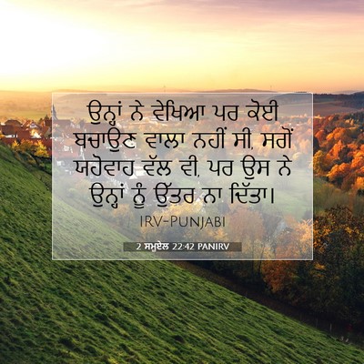 Picture 07 - 2 ਸਮੂਏਲ 22:42 PANIRV - ਉਨ੍ਹਾਂ ਨੇ ਵੇਖਿਆ ਪਰ - Bible Verse Picture