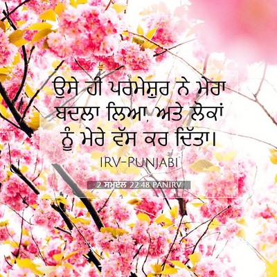Picture 07 - 2 ਸਮੂਏਲ 22:48 PANIRV - ਉਸੇ ਹੀ ਪਰਮੇਸ਼ੁਰ ਨੇ - Bible Verse Picture