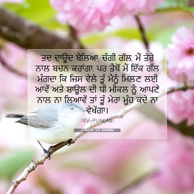 Picture 07 - 2 ਸਮੂਏਲ 3:13 PANIRV - ਤਦ ਦਾਊਦ ਬੋਲਿਆ, ਚੰਗੀ - Bible Verse Picture