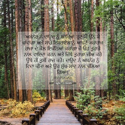 Picture 07 - 2 ਸਮੂਏਲ 3:21 PANIRV - ਅਬਨੇਰ ਨੇ ਦਾਊਦ ਨੂੰ - Bible Verse Picture