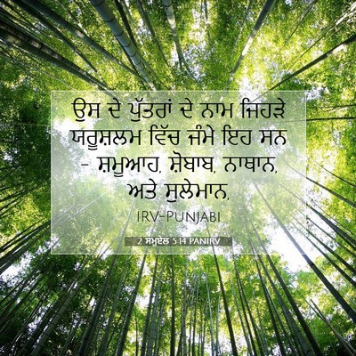 Picture 07 - 2 ਸਮੂਏਲ 5:14 PANIRV - ਉਸ ਦੇ ਪੁੱਤਰਾਂ ਦੇ - Bible Verse Picture