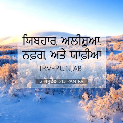 Picture 07 - 2 ਸਮੂਏਲ 5:15 PANIRV - ਯਿਬਹਾਰ, ਅਲੀਸ਼ੂਆ, - Bible Verse Picture