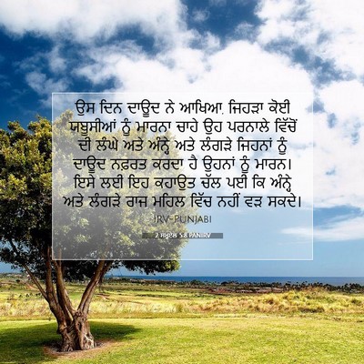 Picture 07 - 2 ਸਮੂਏਲ 5:8 PANIRV - ਉਸ ਦਿਨ ਦਾਊਦ ਨੇ - Bible Verse Picture