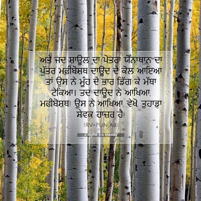 Picture 07 - 2 ਸਮੂਏਲ 9:6 PANIRV - ਅਤੇ ਜਦ ਸ਼ਾਊਲ ਦਾ - Bible Verse Picture