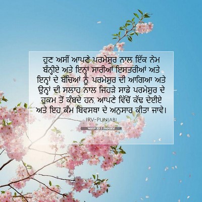 Picture 07 - ਅਜ਼ਰਾ 10:3 PANIRV - ਹੁਣ ਅਸੀਂ ਆਪਣੇ - Bible Verse Picture