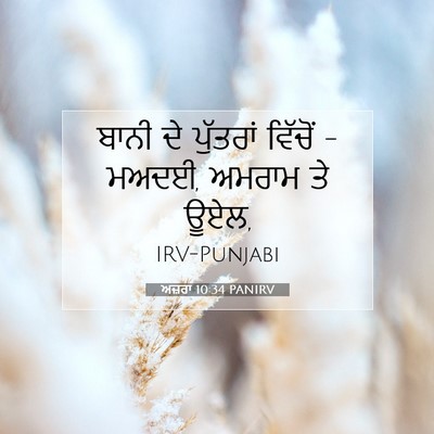Picture 07 - ਅਜ਼ਰਾ 10:34 PANIRV - ਬਾਨੀ ਦੇ ਪੁੱਤਰਾਂ - Bible Verse Picture