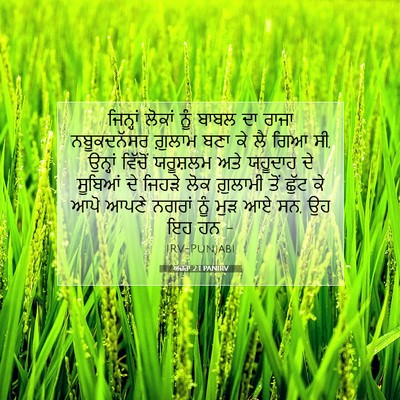 Picture 07 - ਅਜ਼ਰਾ 2:1 PANIRV - ਜਿਨ੍ਹਾਂ ਲੋਕਾਂ ਨੂੰ - Bible Verse Picture
