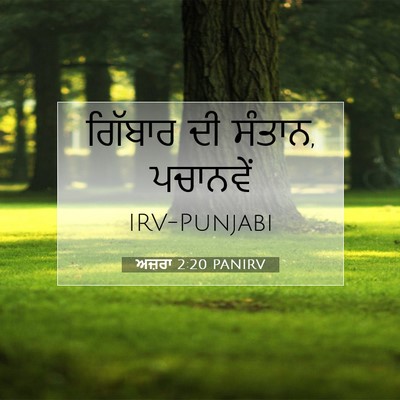 Picture 07 - ਅਜ਼ਰਾ 2:20 PANIRV - ਗਿੱਬਾਰ ਦੀ ਸੰਤਾਨ, - Bible Verse Picture