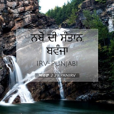 Picture 07 - ਅਜ਼ਰਾ 2:29 PANIRV - ਨਬੋ ਦੀ ਸੰਤਾਨ, - Bible Verse Picture