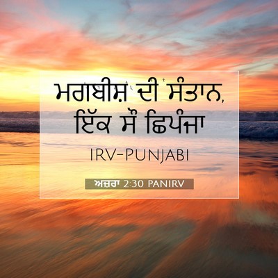 Picture 07 - ਅਜ਼ਰਾ 2:30 PANIRV - ਮਗਬੀਸ਼ ਦੀ ਸੰਤਾਨ, - Bible Verse Picture