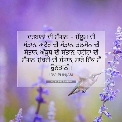 Picture 07 - ਅਜ਼ਰਾ 2:42 PANIRV - ਦਰਬਾਨਾਂ ਦੀ ਸੰਤਾਨ, - - Bible Verse Picture