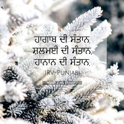 Picture 07 - ਅਜ਼ਰਾ 2:46 PANIRV - ਹਾਗਾਬ ਦੀ ਸੰਤਾਨ, - Bible Verse Picture