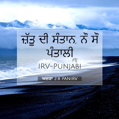 Picture 07 - ਅਜ਼ਰਾ 2:8 PANIRV - ਜ਼ੱਤੂ ਦੀ ਸੰਤਾਨ, ਨੌ - Bible Verse Picture