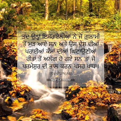 Picture 07 - ਅਜ਼ਰਾ 6:21 PANIRV - ਤਦ ਉਨ੍ਹਾਂ - Bible Verse Picture