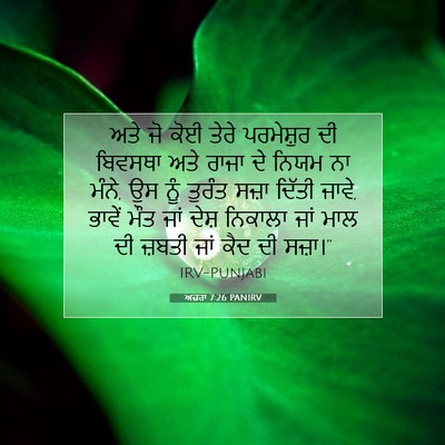 Picture 07 - ਅਜ਼ਰਾ 7:26 PANIRV - ਅਤੇ ਜੋ ਕੋਈ ਤੇਰੇ - Bible Verse Picture