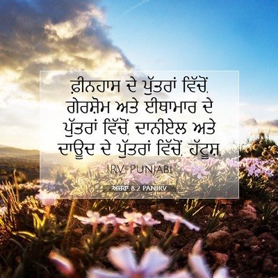 Picture 07 - ਅਜ਼ਰਾ 8:2 PANIRV - ਫ਼ੀਨਹਾਸ ਦੇ - Bible Verse Picture