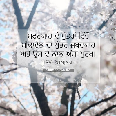 Picture 07 - ਅਜ਼ਰਾ 8:8 PANIRV - ਸ਼ਫਟਯਾਹ ਦੇ - Bible Verse Picture
