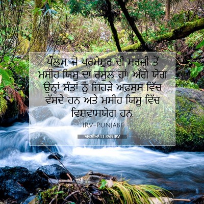Picture 07 - ਅਫ਼ਸੀਆਂ 1:1 PANIRV - ਪੌਲੁਸ, ਜੋ ਪਰਮੇਸ਼ੁਰ - Bible Verse Picture