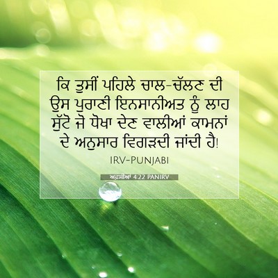 Picture 07 - ਅਫ਼ਸੀਆਂ 4:22 PANIRV - ਕਿ ਤੁਸੀਂ ਪਹਿਲੇ - Bible Verse Picture