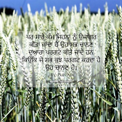 Picture 07 - ਅਫ਼ਸੀਆਂ 5:13 PANIRV - ਪਰ ਸਾਰੇ ਕੰਮ ਜਿਹਨਾਂ - Bible Verse Picture