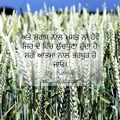 Picture 07 - ਅਫ਼ਸੀਆਂ 5:18 PANIRV - ਅਤੇ ਸ਼ਰਾਬ ਨਾਲ ਮਸਤ - Bible Verse Picture