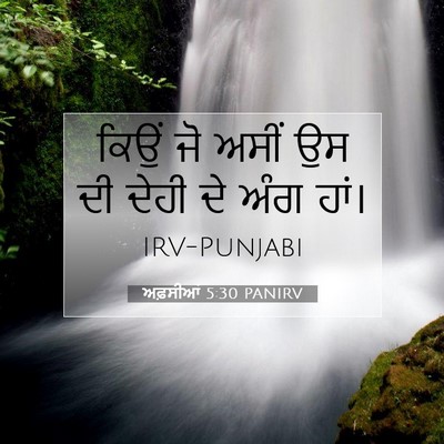 Picture 07 - ਅਫ਼ਸੀਆਂ 5:30 PANIRV - ਕਿਉਂ ਜੋ ਅਸੀਂ ਉਸ ਦੀ - Bible Verse Picture
