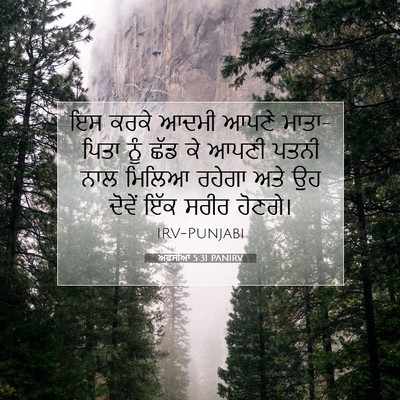 Picture 07 - ਅਫ਼ਸੀਆਂ 5:31 PANIRV - ਇਸ ਕਰਕੇ ਆਦਮੀ ਆਪਣੇ - Bible Verse Picture