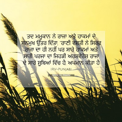Picture 07 - ਅਸਤਰ 1:16 PANIRV - ਤਦ ਮਮੂਕਾਨ ਨੇ ਰਾਜਾ - Bible Verse Picture