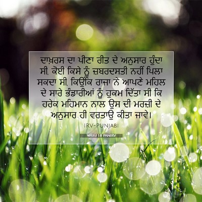 Picture 07 - ਅਸਤਰ 1:8 PANIRV - ਦਾਖ਼ਰਸ ਦਾ ਪੀਣਾ ਰੀਤ - Bible Verse Picture
