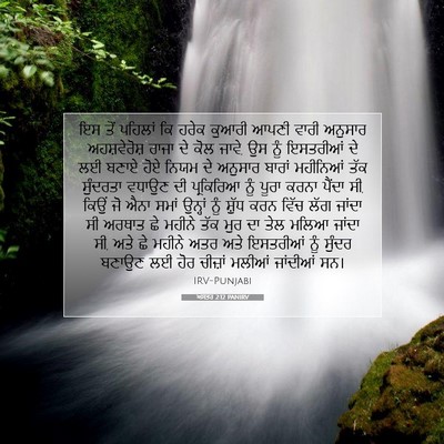 Picture 07 - ਅਸਤਰ 2:12 PANIRV - ਇਸ ਤੋਂ ਪਹਿਲਾਂ ਕਿ - Bible Verse Picture