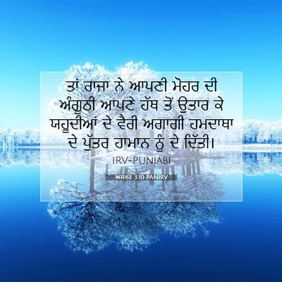 Picture 07 - ਅਸਤਰ 3:10 PANIRV - ਤਾਂ ਰਾਜਾ ਨੇ ਆਪਣੀ - Bible Verse Picture
