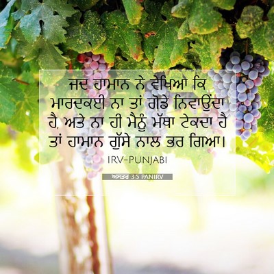 Picture 07 - ਅਸਤਰ 3:5 PANIRV - ਜਦ ਹਾਮਾਨ ਨੇ ਵੇਖਿਆ - Bible Verse Picture