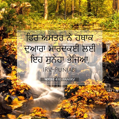 Picture 07 - ਅਸਤਰ 4:10 PANIRV - ਫਿਰ ਅਸਤਰ ਨੇ ਹਥਾਕ - Bible Verse Picture