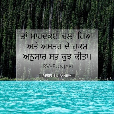 Picture 07 - ਅਸਤਰ 4:17 PANIRV - ਤਾਂ ਮਾਰਦਕਈ ਚਲਾ ਗਿਆ - Bible Verse Picture