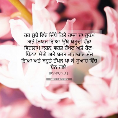 Picture 07 - ਅਸਤਰ 4:3 PANIRV - ਹਰ ਸੂਬੇ ਵਿੱਚ ਜਿੱਥੇ - Bible Verse Picture