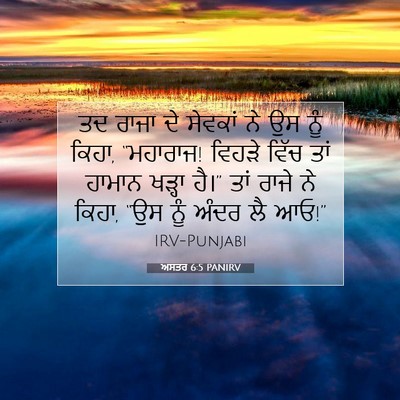 Picture 07 - ਅਸਤਰ 6:5 PANIRV - ਤਦ ਰਾਜਾ ਦੇ ਸੇਵਕਾਂ - Bible Verse Picture