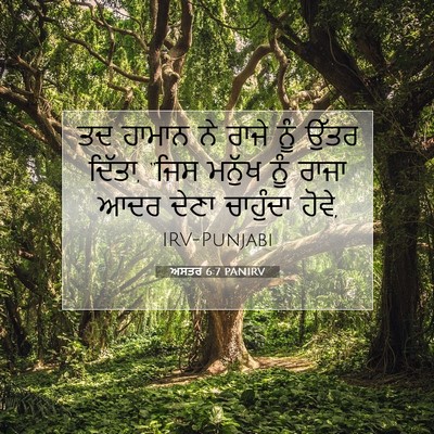 Picture 07 - ਅਸਤਰ 6:7 PANIRV - ਤਦ ਹਾਮਾਨ ਨੇ ਰਾਜੇ - Bible Verse Picture