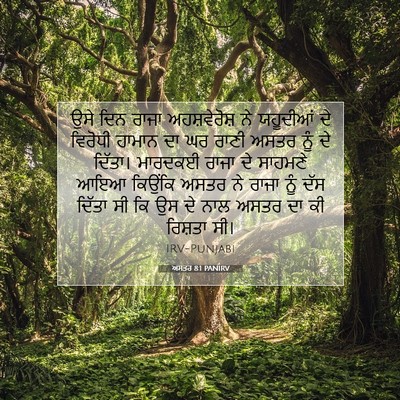 Picture 07 - ਅਸਤਰ 8:1 PANIRV - ਉਸੇ ਦਿਨ ਰਾਜਾ - Bible Verse Picture